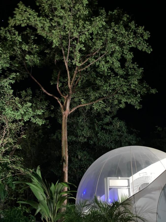 Maisons Bulles Deluxe Hotell Bouillante Exteriör bild
